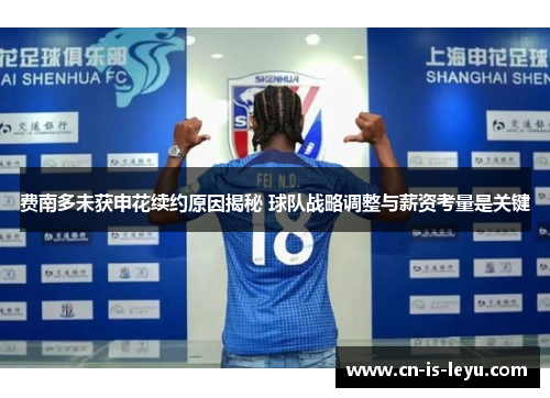 费南多未获申花续约原因揭秘 球队战略调整与薪资考量是关键