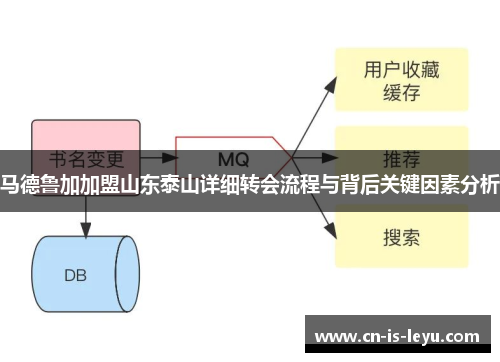 马德鲁加加盟山东泰山详细转会流程与背后关键因素分析
