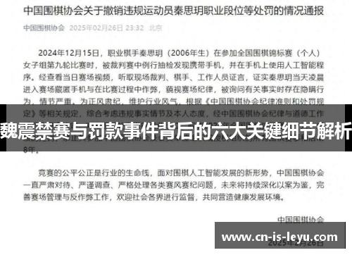 魏震禁赛与罚款事件背后的六大关键细节解析
