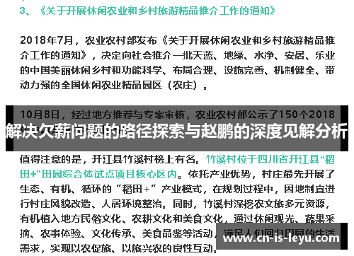 解决欠薪问题的路径探索与赵鹏的深度见解分析