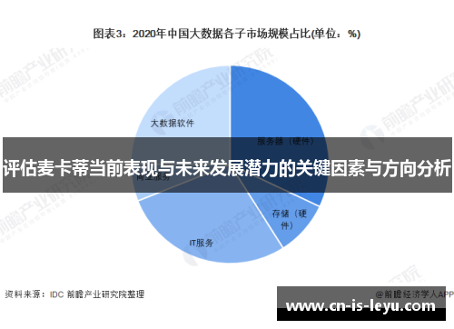评估麦卡蒂当前表现与未来发展潜力的关键因素与方向分析