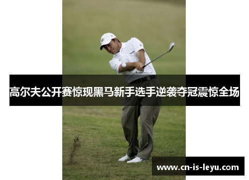 高尔夫公开赛惊现黑马新手选手逆袭夺冠震惊全场