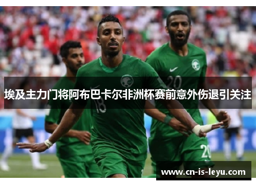 埃及主力门将阿布巴卡尔非洲杯赛前意外伤退引关注 埃及主力门将阿布巴卡尔非洲杯赛前意外伤退引关注